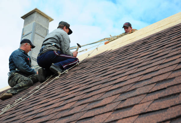 Best Emergency Roof Repair  in Crowley Lake, CA